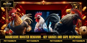 Aggressive Rooster Behavior - Key Causes And Safe Responses