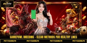 Gamefowl Breeding - Clear Methods For Healthy Lines