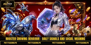 Rooster Crowing Behavior - Daily Signals And Social Meaning